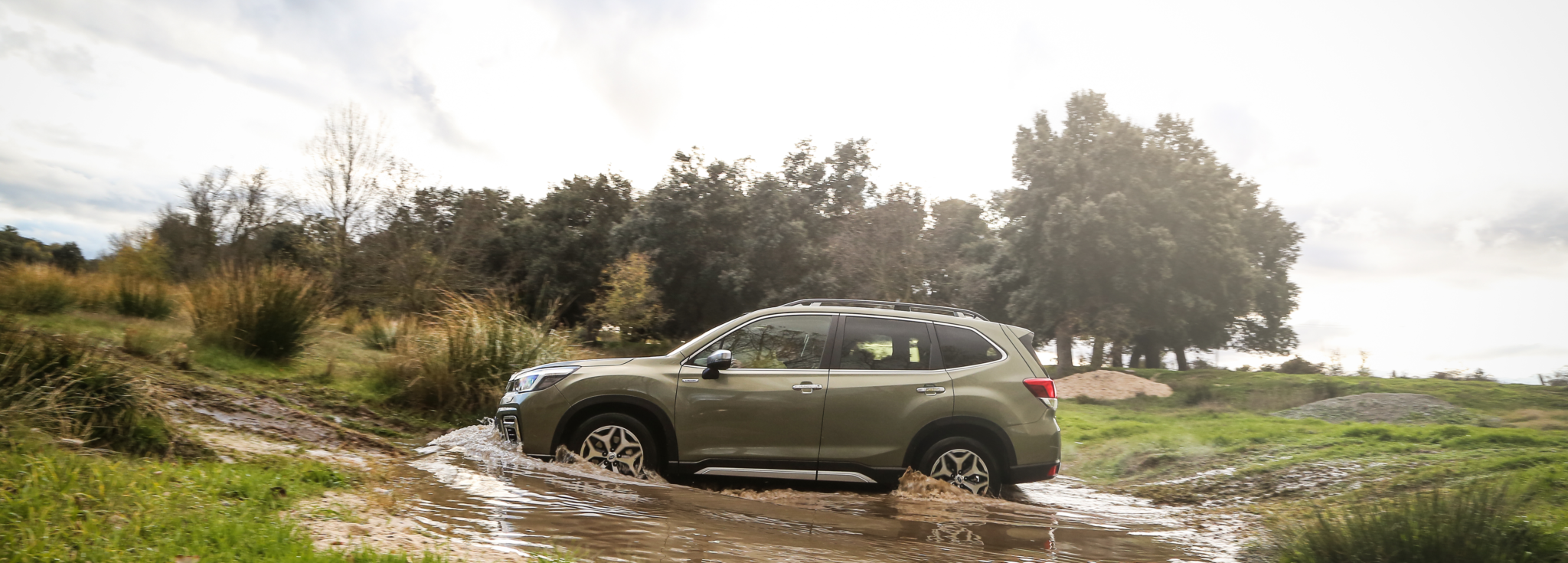 Subaru Forester Eco Hybrid