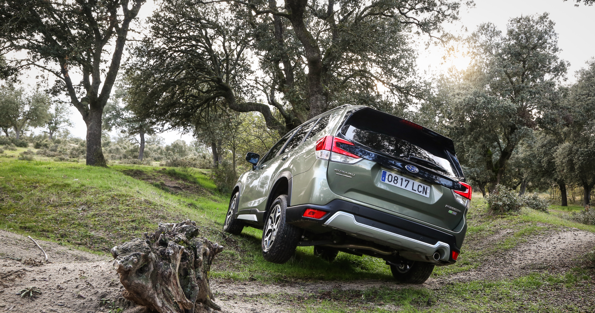 Subaru Forester Eco Hybrid