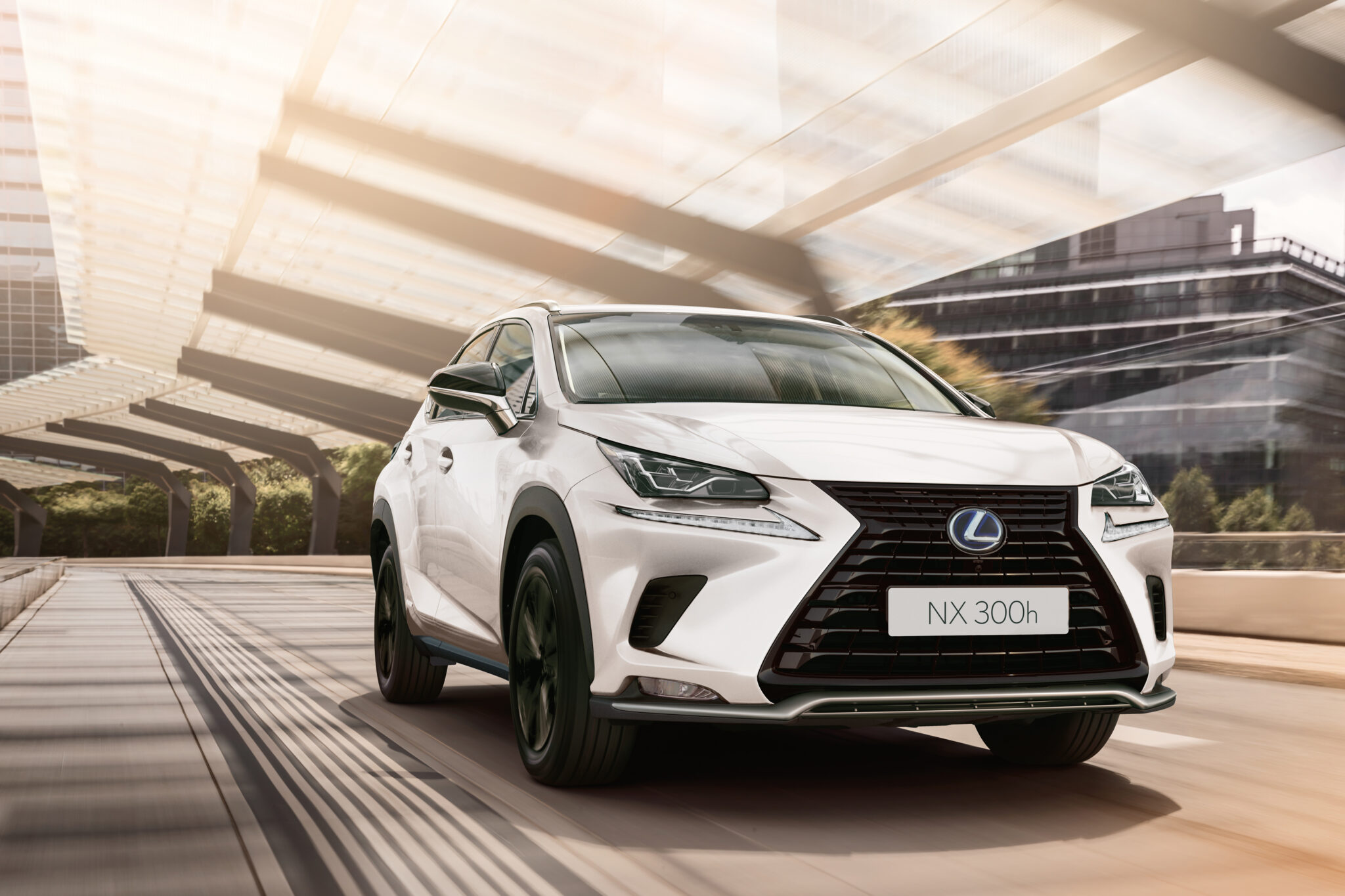 Lexus NX 300h 2021