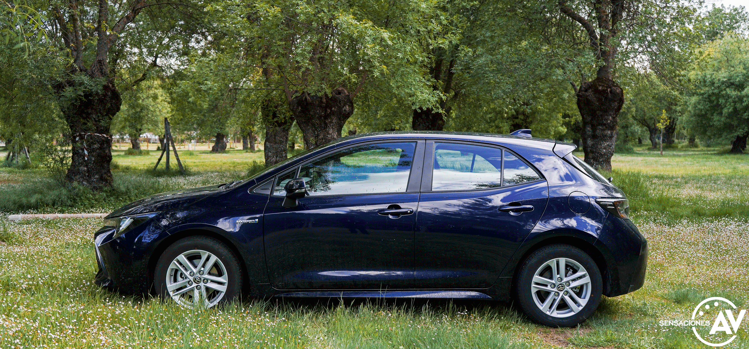 Lateral izquierdo Toyota Corolla Hatchback 125H 2021